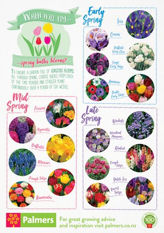 Bulb Blooming Chart, Bulb Gardens Ideas, Bulb Layering Gardens, Layering Bulbs In Pots, Lasagna Planting Bulbs, Bulb Lasagne Combinations, Bulb Garden Design Layout, Bulb Planting Ideas, Planting Guide Australia