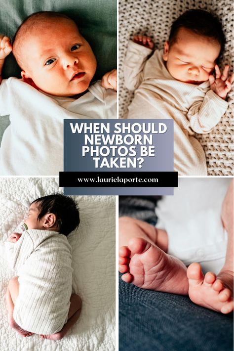 When Should Newborn Photos Be Taken? Delicate Features, Lifestyle Newborn Photography, Newborn Lifestyle, Common Questions, Lifestyle Newborn, Photography Blog, Newborn Photos, Baby Things, Lifestyle Photography