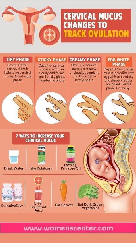 What Is Ovulation, Getting Pregnant Tips, Cervical Mucus, Pregnancy Help, Fertility Foods, Fertility Awareness, Fertility Health, Fertility Diet, Get Pregnant Fast