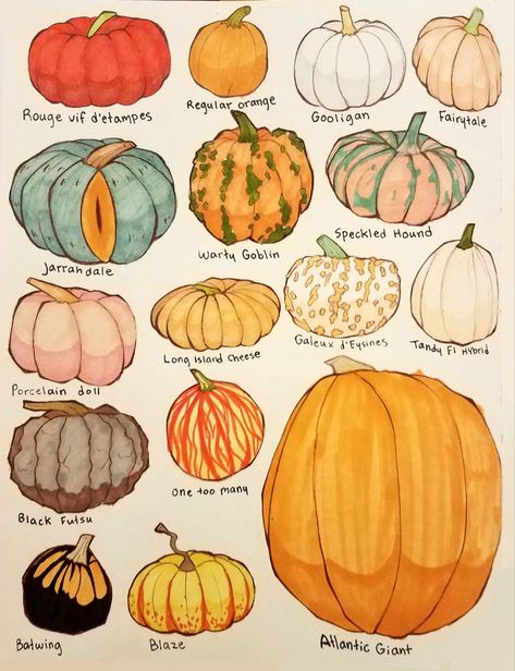 Pumpkins, every shape and size 🙂 Love Through Art, Close Up Art, Pumpkin Drawing, Fall Preschool Activities, Fan Theories, Autumn Illustration, Making Stuff, Watercolor Pumpkins, Halloween Painting