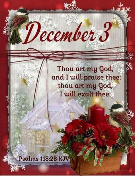 #Fr3655 (2020) #11660 (2018) #Psalms118v28 KJV #December3rd #DailyBlessing www.facebook.com/Judiann.F Welcome December Quotes, Psalms 118, December Blessings, December Scriptures, December Images, Welcome December, Christmas Verses, Christmas Scripture, December Quotes