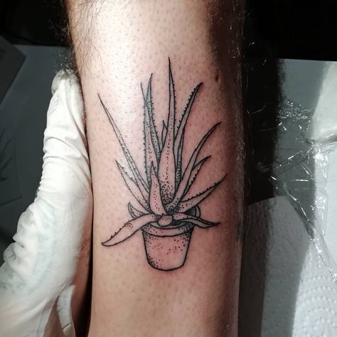 Aloe Vera Tattoo, Tattoo For Son, Plant Tattoo, Healing Tattoo, Tattoo Aftercare, New Tattoo, Tattoo Removal, Symbolic Tattoos, Piercing Tattoo