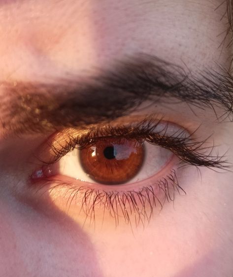 Russet Eyes Color, Reddish Brown Eyes, Russet Eyes, Russet Brown Eyes, Red Brown Eyes, Amber Eyes Color, Brown Eyes Aesthetic, Brown Eye Boys, Color Castaño