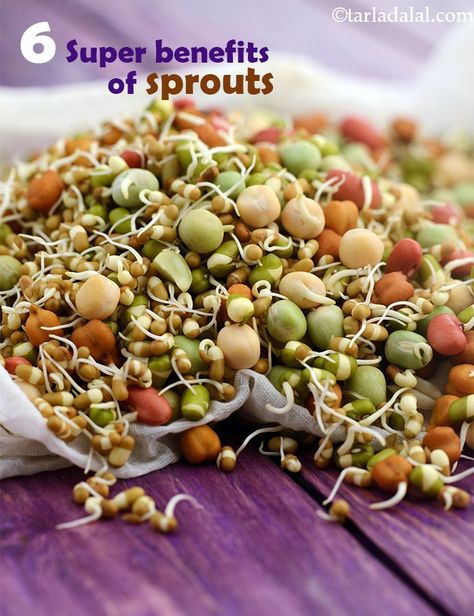 Benefits of Sprouts, Best healthy Indian sprout recipes Sprouts Recipes Indian, Sprouts Benefits, High Calorie Foods, Beans Benefits, Stuffed Paratha, Breakfast Beans, Fancy Food Presentation, Kabuli Chana, High Calorie