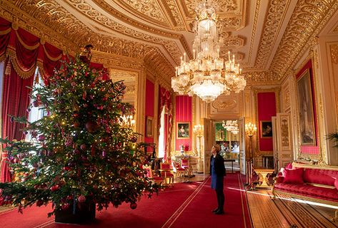 The-Queen-Christmas-tree-Windsor-Castle Inside Windsor Castle, Christmas Palace, Royal Family Christmas, Castle Christmas, Palace Interior, Royal Christmas, Christmas World, Royal Residence, Windsor Castle