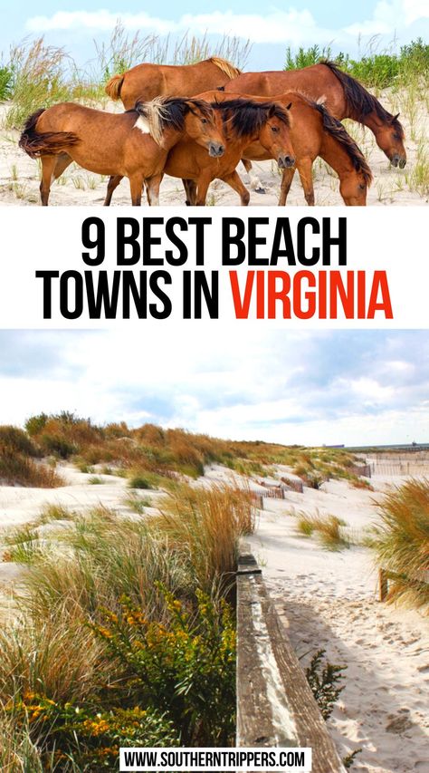 9 Best Beach Towns in Virginia Beaches In Virginia, Spring Bucket List, Southern Usa, Virginia Vacation, North America Travel Destinations, Usa Bucket List, Virginia Beach Virginia, Virginia Travel, Winter Bucket List