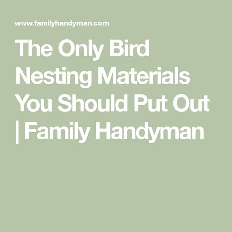 The Only Bird Nesting Materials You Should Put Out | Family Handyman Nesting Material For Birds Ideas, Bird Nest Materials, Nesting Materials For Birds, Bird Nesting Material Diy, Bird Nesting Material, Bird Feeder Craft, Suet Feeder, Birds Nests, Diy Birds