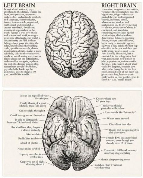 Psychology Wallpaper, Science Vintage, Dream Psychology, Medical Drawings, Psychology Notes, Medical School Life, Psychology Studies, Forensic Psychology, Basic Anatomy And Physiology