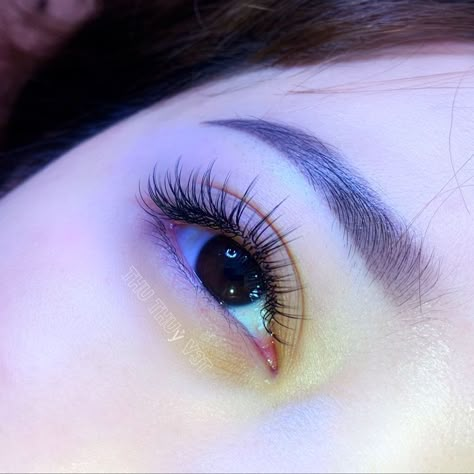 Asian Fake Lashes, Classic Eyelash Extensions Asian Eyes, Korean Lashes Extensions, Korean Eyelash Extensions Styles, Natural Anime Lashes, Asian Lashes Extensions, Japanese Eyelash Extensions, Lash Extensions Korean, Natural Lash Extensions Asian Eyes