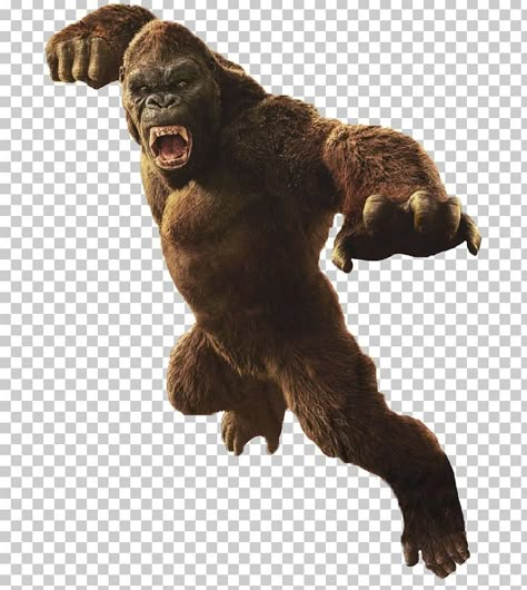 King Kong Image, King Kong Godzilla, Godzilla Birthday Party, Film Png, Godzilla Birthday, King Kong Art, Gorillas Art, King Kong Vs Godzilla, Gorilla Tattoo