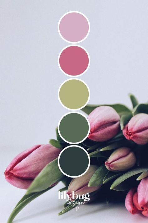 Lilybug Design, Flower Colour Palette, Floral Colour Palette, Flower Palette, Colour Wall, Anniversaire Diy, Flower Colour, Spring Color Palette, Color Schemes Colour Palettes