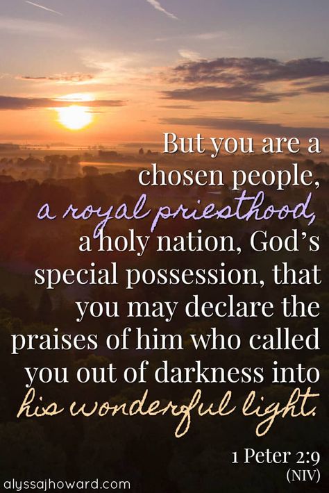 But you are a chosen people, a royal priesthood, a holy nation, God's special possession, that you may declare the praises of him who called you out of darkness into his wonderful light. - 1 Peter 2:9 Business Mom, Royal Priesthood, The Presence Of God, Presence Of God, John 10 10, I Need Jesus, Bible Time, Pinterest Group, Prayer Verses