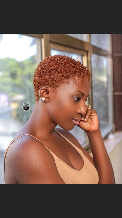 Twa Hair Color, Low Cut Hairstyles, Hair Ideas For Women, Natural Hair Haircuts, Natural Hair Twa, Short Dyed Hair, Short Natural Haircuts, Short Hair Designs, Short Natural Curly Hair