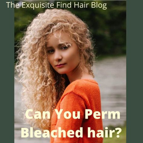 Can you Perm Bleached Hair? If so, when? If not, why? https://theexquisitefind.com/can-you-perm-bleached-hair-everything-you-need-to-know/ Getting A Perm, Hair Blog, Permed Hairstyles, Bleached Hair, Pros And Cons, How To Take, Perm, Take Care, Need To Know