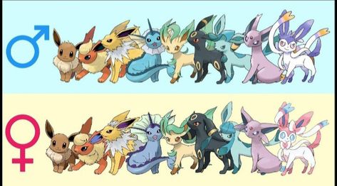 All Eeveelutions, Origami Book, Eevee Evolutions, Pokemon Characters, How Can, Pre Order, Evolution, Pikachu, Origami