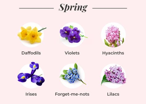 What Flowers Are In Season? A Seasonal Flower Guide Spring Season Flowers, Flowers In Season, April Flower, Top Flowers, Flower Season, Plant Names, April Flowers, Flower Guide, Wallpaper Flower