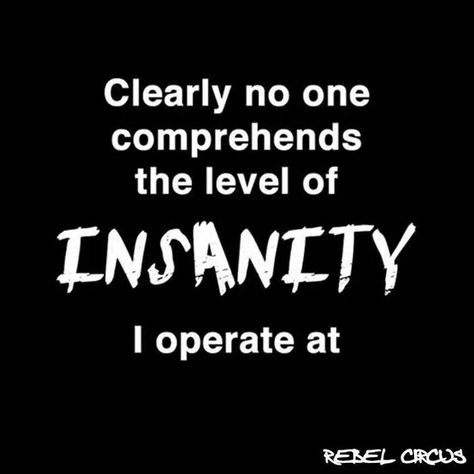 I am insane it is true lol 😂 I am high level insane, but not in a dangerous way, I'm a veeeerrrrry fun way! Dangerous Quotes, Diary Of A Madman, Crazy Sister, Rapper Quotes, Emotional Rollercoaster, Story Quotes, How To Apologize, Perfection Quotes, Im Crazy