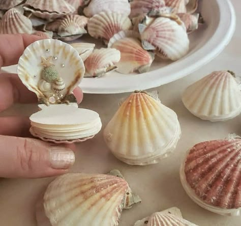 Shell book, seashells Broken Shell Crafts, Seashell Book, Shell Cleaning, Cleaning Sea Shells, Shell Book, Tiny Watercolor, Beach Crafts Diy, Shells Diy, Shell Crafts Diy