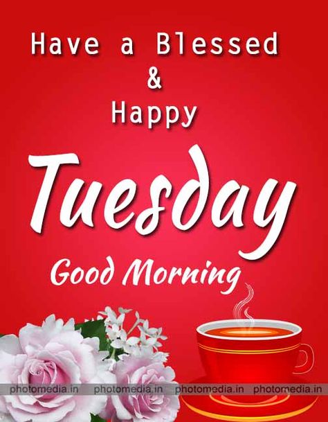 Good Morning Tuesday Wishes, Happy Thursday Morning, Good Morning Tuesday Images, Beautiful Tuesday, Happy Tuesday Morning, Happy Monday Images, Tuesday Quotes Good Morning, Tuesday Greetings, Tuesday Images