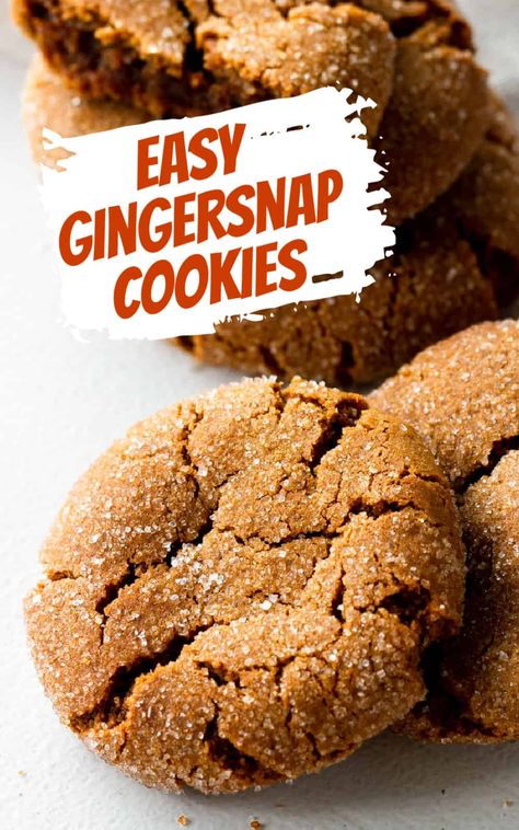 We love these simple chewy Gingersnaps. Soft with a crunchy exterior, they're rolled in sugar and create a wonderful crackled surface. Chewy Gingersnaps, Soft Gingersnap Cookies, Mm Cookies, Gingersnap Cookies Chewy, Best Gingerbread Cookie Recipe, Ginger Snap Cookies Recipe, Ginger Snaps Recipe, Best Gingerbread Cookies, Gingerbread Cookie Recipe