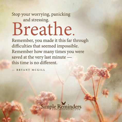 Stop worrying and breathe. Simple Reminders Quotes, Simple Reminders, E Card, Reminder Quotes, No Me Importa, A Quote, Note To Self, Good Advice, Positive Thoughts