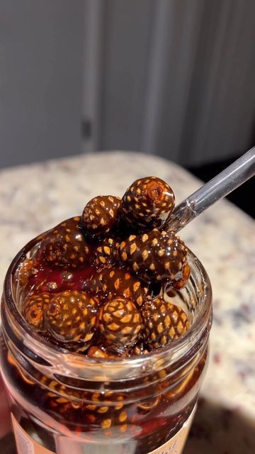 Pine Cone Syrup Recipe, Pine Cone Jam, Pinecone Syrup, Pinecone Jam, Jam Aesthetic, Unique Food, How To Make Jam, Honey Recipes, Seasonal Recipes