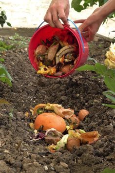 Trench Composting Raised Beds, In Garden Composting, Composting Aesthetic, Raised Bed Compost Bin, In Bed Composting, How To Use Compost In Garden, Master Gardener Projects, Making Compost For Garden, Trench Composting