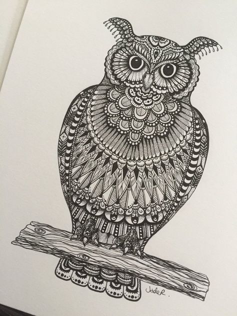 Owl Zentangle Art, Zentangle Art Easy, Owl Zentangle, Elephant Doodle, Vbs Decorations, Zentangle Ideas, Draw Ideas, Zen Tangle, Owls Drawing