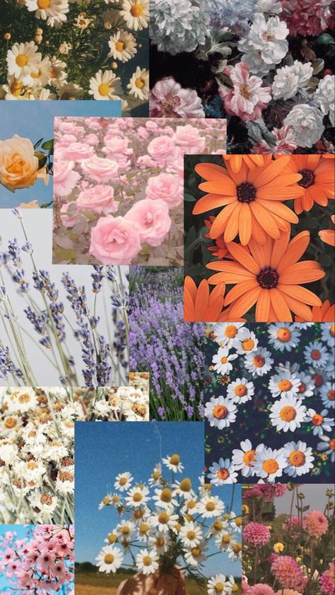 aesthetic flower collage wallpaper Flower Wallpaper Collage, Wall Collage Flowers, Plant Collage Wallpaper, Nature Collage Aesthetic, Flower Backgrounds Aesthetic, Flowers Collage Aesthetic, Flower Collage Aesthetic, Nature Collage Wallpaper, Spring Collage Wallpaper