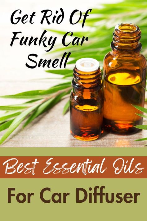 best essential oil for car diffuser Essential Oils For Car, Car Diffuser Blends, Essential Oils For Congestion, Essential Oils For Cough, Diffuser Diy, Essential Oils For Face, Car Diffuser Essential Oils, Essential Oils For Headaches, Diy Air Freshener