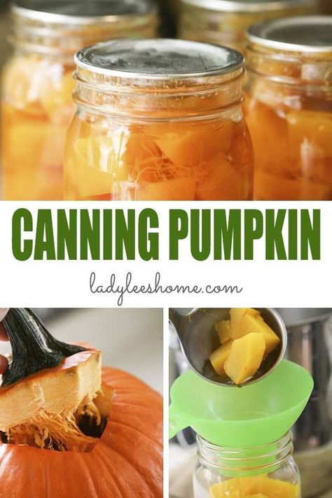 Pumpkin Canning, Canning Pumpkin, Thanksgiving Pumpkin Recipes, Preserving Pumpkins, Pie Pumpkins, Can Pumpkin, Winter Squash Recipes, Freezing Vegetables, Easy Canning