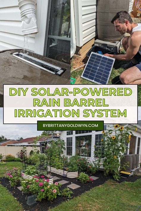 Learn how we set up a DIY solar-powered rain barrel irrigation system from scratch to harvest rainwater and reduce your water use! Rain Collection System, Water Irrigation System, Irrigation System Diy, Irrigation Diy, Rain Barrel System, Collect Rainwater, Water Collection System, Water Irrigation, Water Barrel