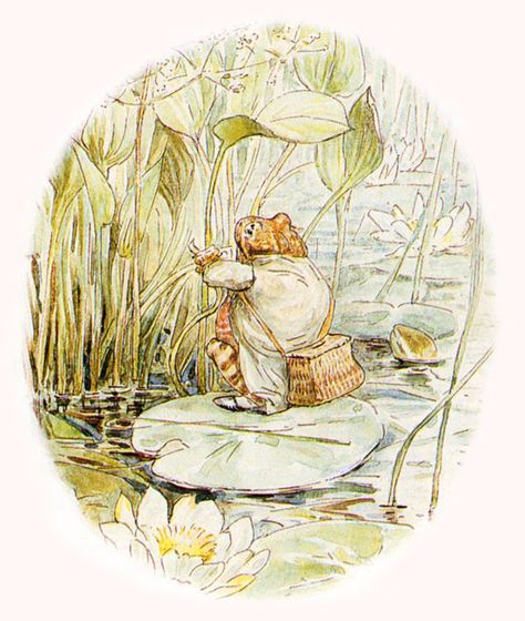 Jeremy fisher Tales Of Beatrix Potter, Beatrix Potter Illustrations, Jeremy Fisher, Beatrice Potter, Peter Rabbit And Friends, Storybook Art, Rabbit Illustration, Potter Art, Frog Art