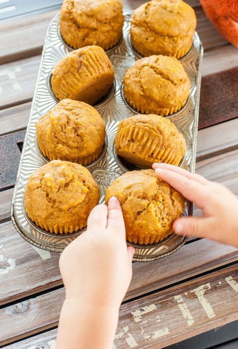 Moist Pumpkin Muffins, Best Pumpkin Muffins, Chocolate Pumpkin Muffins, Pumpkin Muffins Easy, Pumpkin Cream Cheese Muffins, Pumpkin Muffin Recipes, Streusel Muffins, Pumpkin Chocolate Chip Muffins, Pumpkin Spice Muffins