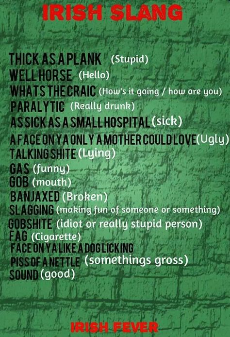 Irish Slang Irish Facts, Irish Curse, Irish Slang, Irish Proverbs, Irish Eyes Are Smiling, Irish Language, Irish Gaelic, Irish Quotes, Irish Culture