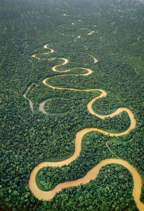 Ríos del mundo - Las sinuosas curvas del ri?o Tambopata, en la Reserva Natural de Tambopata-Candamo, Perú | Galería de fotos 33 de 50 | Traveler Amazon Forest, Amazon River, America Latina, Amazon Rainforest, Birds Eye View, Birds Eye, Aerial View, Oahu, Amazing Nature