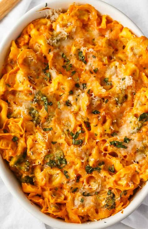 Tortellini Casserole - Hearty and delicious. This easy pasta casserole has beef tortellini smothered in a savory rose sauce, veggies and loads of cheese. Easy Pasta Casserole, Beef Tortellini, Tortellini Casserole, Food Casseroles, Tomatoes Recipes, Savory Bites, Tortellini Recipes, Pasta Casserole, 12 Tomatoes