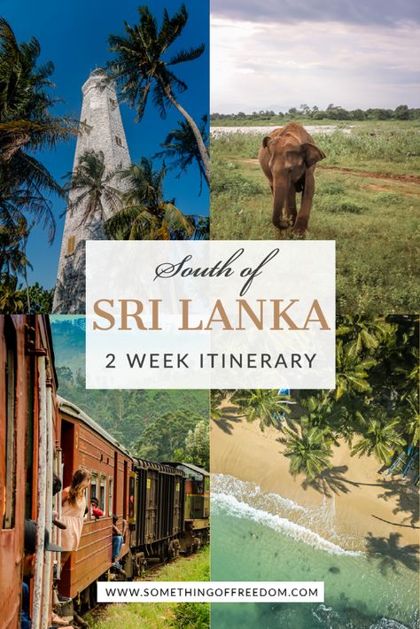 Travel Sri Lanka, Sri Lanka Itinerary, Modes Of Transport, Blue Whales, Wildlife Travel, Sri Lanka Travel, Travel Destinations Asia, Asia Travel Guide, Travel Plan