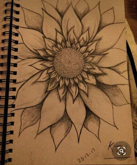 Sunflower Sketches Simple, Flawores Drawing, Sun Flower Art Drawing, Daisy Sketch Pencil, Sun Flower Drawing Simple, How To Draw Sun, Sunflower Sketch Simple, Art Drawings Sketches Easy, Sunflower Sketch Pencil