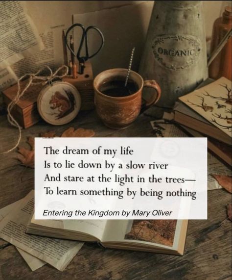 Cottagecore Aesthetic Quotes, Cottage Core Quotes, Quotes Cottagecore, Oliver Core, Cottagecore Quotes, Cottagecore Books, Cottagecore Lifestyle, Poem Book, Cottagecore Vibes