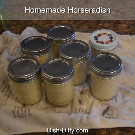 How To Make Horseradish, Homemade Horseradish, Horseradish Recipes, Chestnut Recipes, Fresh Horseradish, Easy Canning, Chestnuts Roasting, Produce Recipes, Wild Food Foraging