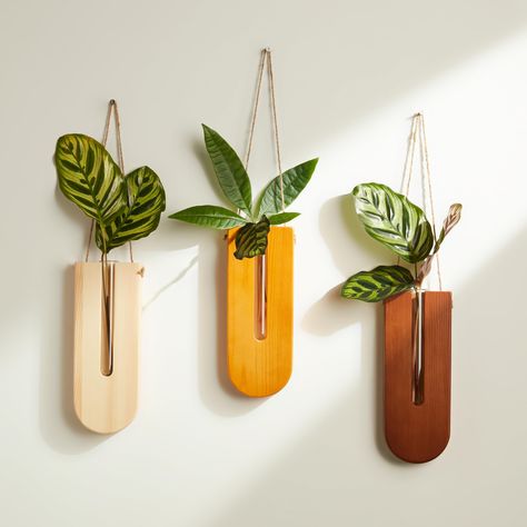 PRICES MAY VARY. Dimension: The wall planter set has a dimension of 33" x 1.2" x 8.6" (L x W x H) Quality: The planters are made of natural pine wood and colored with a harmless wood preservative. The rope is strong and the tubes are securely in place. Use: The glass test tube container provides plenty of room for plant roots and allows observation of growth conditions. Can also be used for dried flowers or fake plants for decoration. Style: The minimalist design of the wooden frames and glass t Propagation Wall, Wall Plant Holder, Wall Planters Indoor, Vertical Wall Planters, Pot Rack Hanging, Pocket Vase, Plant Propagation, Home Decor Sets, Glass Planter