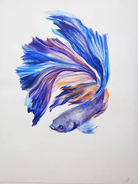 Results for "fish" in art | Artfinder Betta Fish Drawing, Beta Fish Drawing, Squirrel Art, Fish Drawing, Watercolor Fish, Fish Drawings, Cat Air, Fish Painting, Fish Print