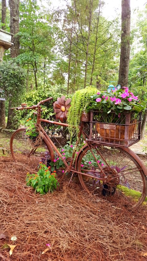 Garden Bicycle, Vintage Bike Garden Decor, Bicycle Garden Decor, Garden Bicycle Ideas, Bike In Garden, Bike Garden Decor Old Bicycle, Bicycle Flower Planter, Old Bicycles Ideas Garden Art, Bicycle Planter