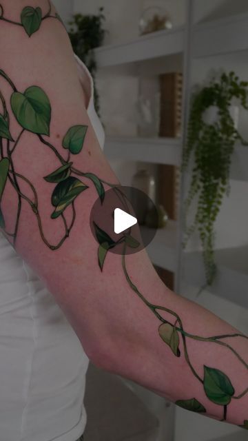 591K views · 119K likes | v a n e s s a  c o r e 🐝 on Instagram: "Pothos  One of the unsung beauties of the plant world. Such a nice tribute to your grandfather and your family’s journey from Moscow to New York - thank you Anton for choosing me for your first tattoo and for sitting so well! Hope you enjoy your time here in Italy!  done at @toivo.ttt sponsored by @dermalizepro @corporospo using @fkirons @kurosumitattooink  #pothos #houseplant #tattoo #botanical #plantlovers" Pothos Tattoo Sleeve, Devils Ivy Tattoo, Houseplant Tattoo Ideas, Pothos Vine Tattoo, Pothos Plant Tattoo, Pothos Tattoo, Houseplant Tattoo, House Plant Tattoo, Vanessa Core