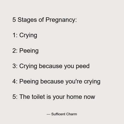 59 Hilarious Pregnancy Memes That Any Parent-to-Be Can Appreciate - Pregnancy Quotes Funny, Pregnancy Jokes, Pregnancy Memes, Pregnancy Hormones, Pregnancy Quotes, Baby Einstein, Alicia Keys, Pregnancy Humor, Pregnancy Stages