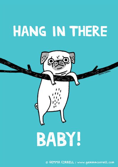 Gemma Correll. Hang in there, Baby! Baby Illustration Art, Illustration Art Prints, Pug Cartoon, Pug Illustration, Baby Print Art, Pugs And Kisses, Pug Art, Baby Illustration, Hang In There