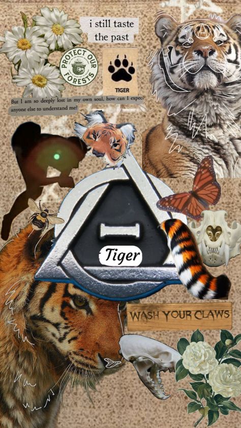 Tiger Therian, Tiger Mask, Tiger Wallpaper, Golden Tiger, Mythical Animal, Pagan Witch, Tiger Art, A Tiger, My Themes