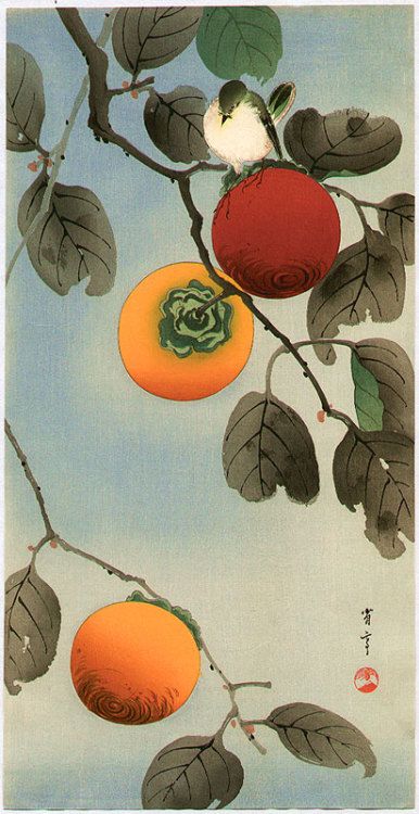 Seitei (Shotei) Watanabe (Japanese, 1851-1918): "Bird on a Persimmon Tree" Persimmon Tree, Japanese Woodblock Printing, Japanese Painting, Sumi E, Japanese Antiques, Japan Art, Japanese Prints, Chinese Painting, Persimmon