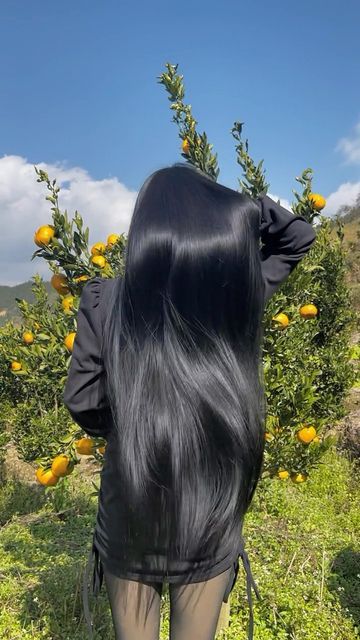 Dream Longhair Rapunzel 📷🎥 on Instagram: "“With good-looking hair, you can deal with anything” ➡️ Other Longhair Pages can Repost our latest videos , but kindly give credit to Dream Longhair Rapunzel Page, as our longhair pages are posting daily latest new longhair videos. Follow - @dream_longhair_rapunzel #dreamlonghairrapunzel #verylonghair #hairofinstagram #longhairgoals #longhairstyles #longhairlove #hairmodel #hairmakeover #cabeloslongos #cabelosperfeitos #cabelospretos #silkyhair #shinyhair #blackhair #hairfetish #haironfleek #hairjourney #hairtransformation #naturalhair #hairinspiration #voluminoushair #beautifulhair #hairbusiness #hairvideo #hairshow #reelsinstagram #reelitfeelit #reelsvideo #rapunzel #rapunzelhair" Rapunzel Black Hair, Rapunzel Hair, Voluminous Hair, Business Hairstyles, Hair Shows, Hair Makeover, Very Long Hair, Silky Hair, 2024 Vision